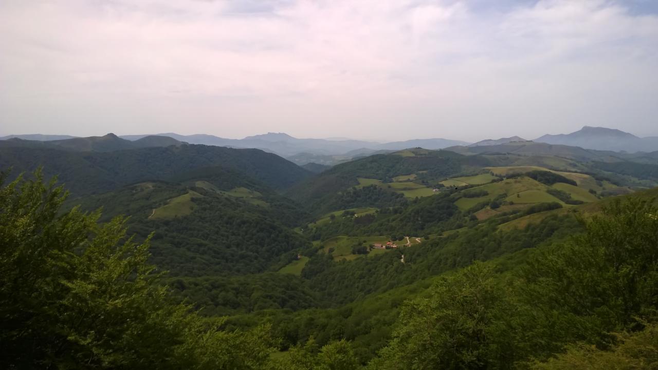 WP_20170527_002